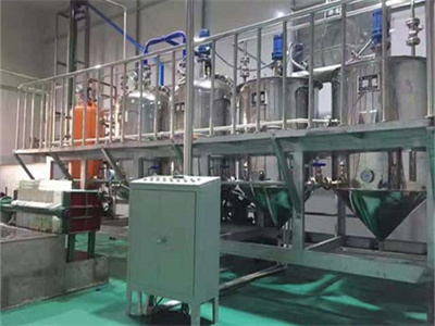Machine de presse à huile de palme 100-500 kg/h en éthiopie